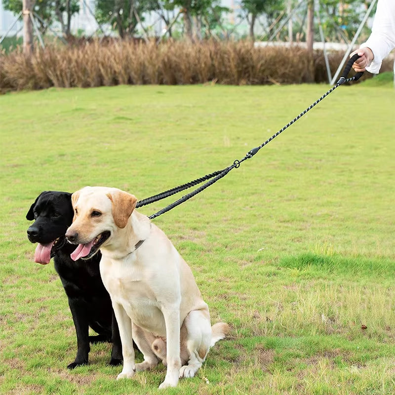 Dual Dog Leash, Double Dog Leash, 360 Swivel No Tangle Walking Leash, Shock Absorbing Bungee for Two Dogs